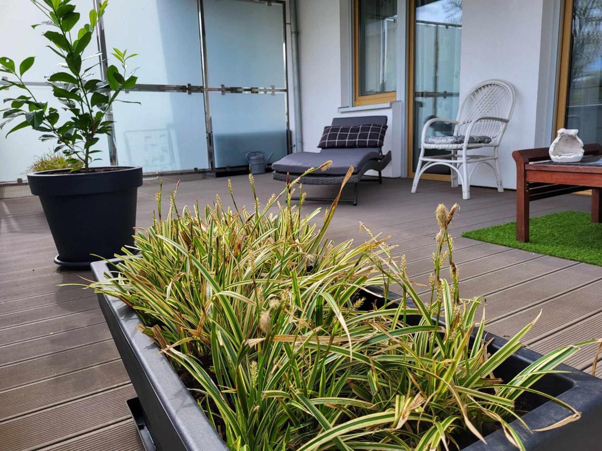Miodowy Dom Exspanse Apartament 2 Lub 3 Pokoje Z Tarasem I Parkingiem Kołobrzeg Exteriör bild
